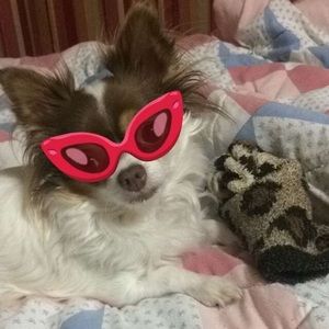 Meet your Posher, Tanya